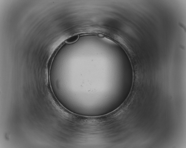 X0000103471079200809191830