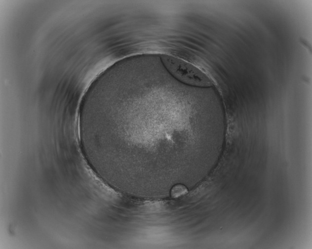 X0000103471080200809191830