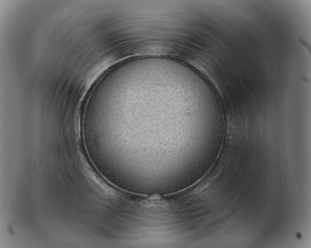 X0000103471083200809191830