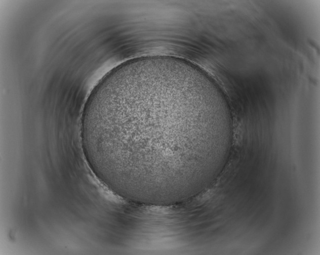 X0000103471086200809191830