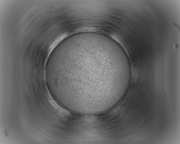 X0000103471090200809191830