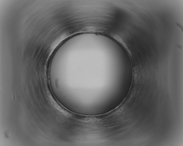 X0000103471091200809191830