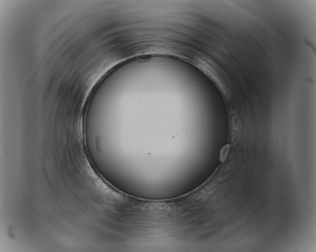 X0000103471092200809191830