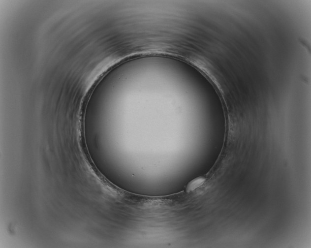 X0000103471093200809191830