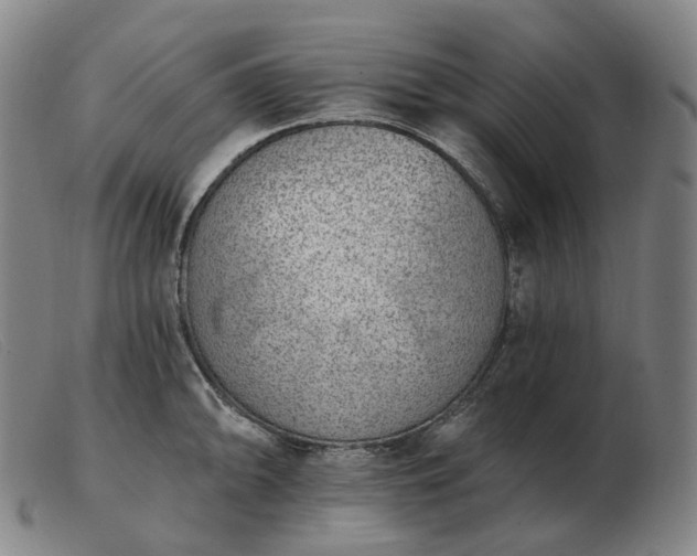 X0000103471094200809191830