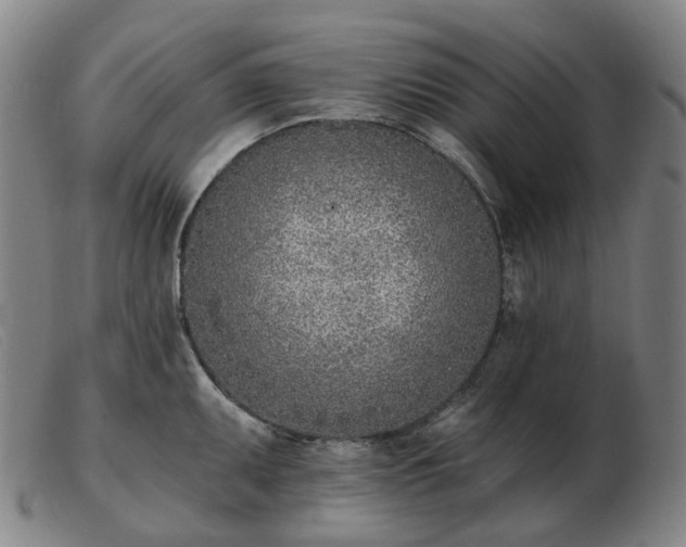 X0000103471095200809191830