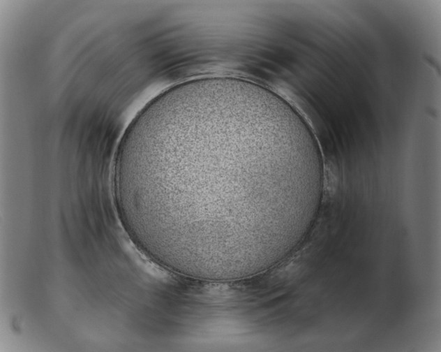 X0000103471098200809191830