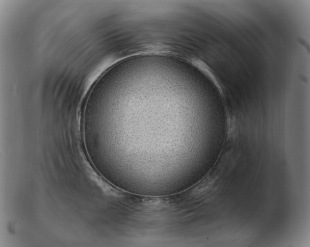 X0000103471099200809191829