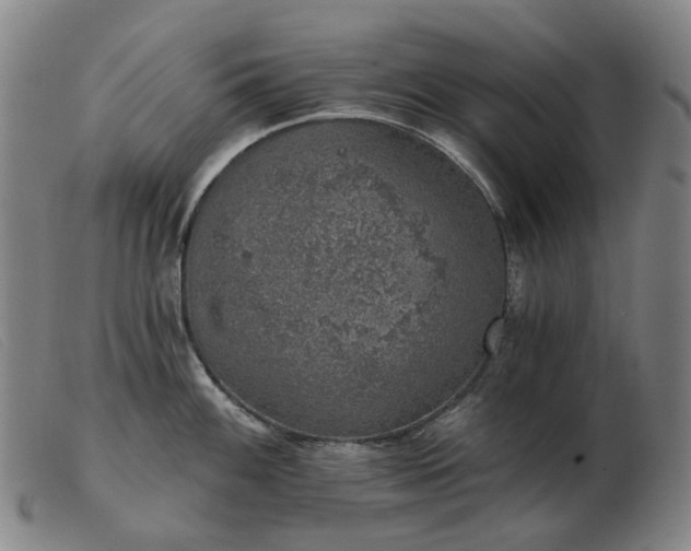 X0000103471100200809191829