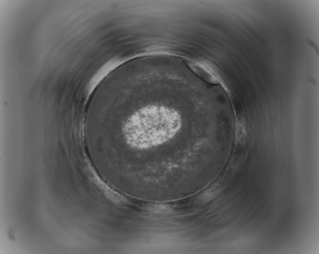 X0000103471101200809191829