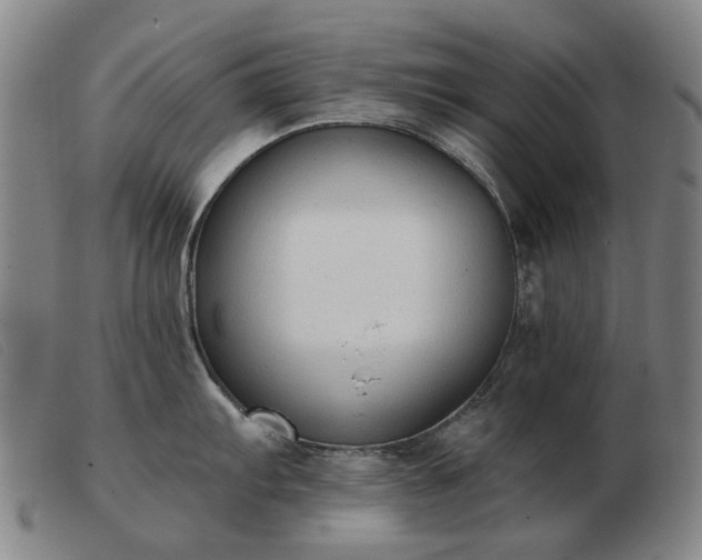 X0000103471103200809191829