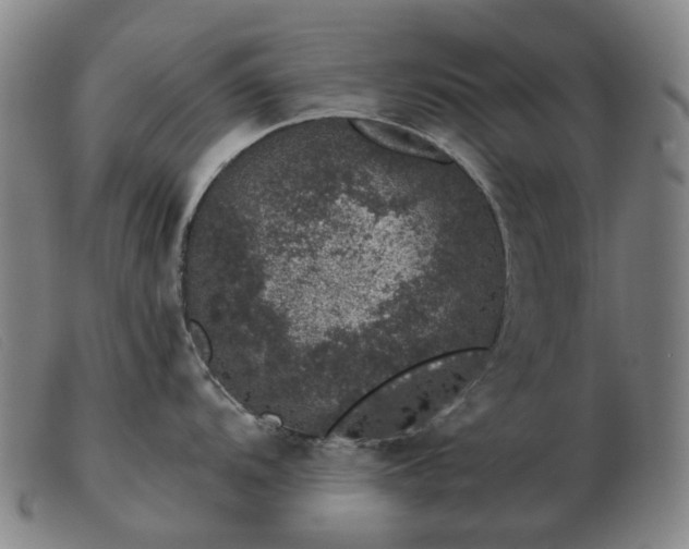 X0000103471104200809191829