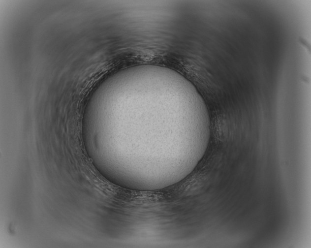 X0000103471105200809191829