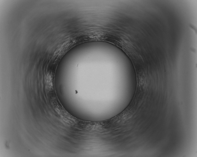 X0000103471106200809191829