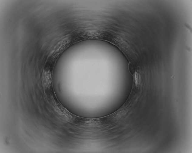 X0000103471107200809191829