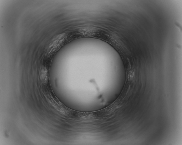 X0000103471108200809191829