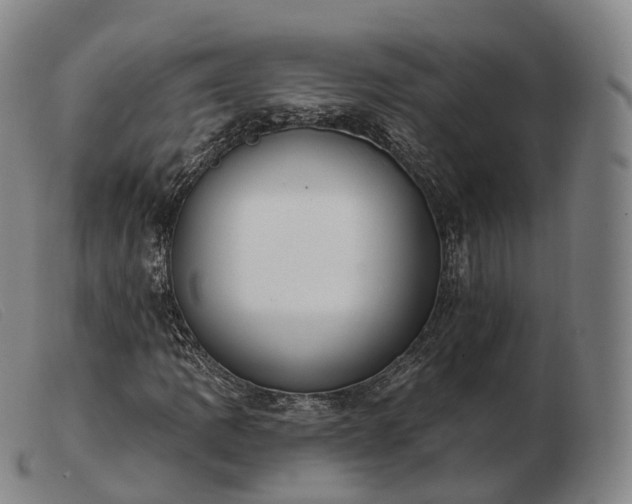 X0000103471109200809191829