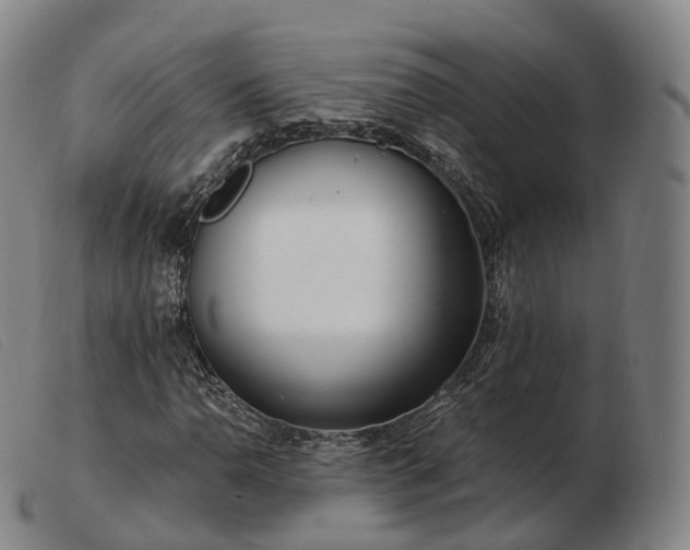 X0000103471110200809191829