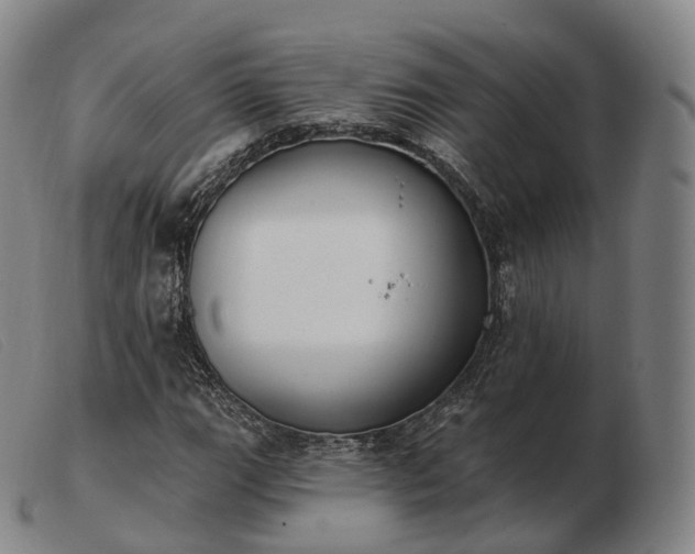 X0000103471111200809191829