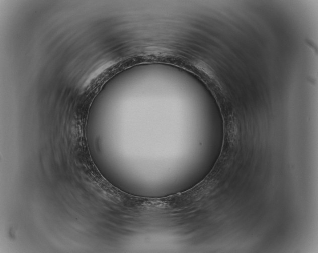 X0000103471112200809191829