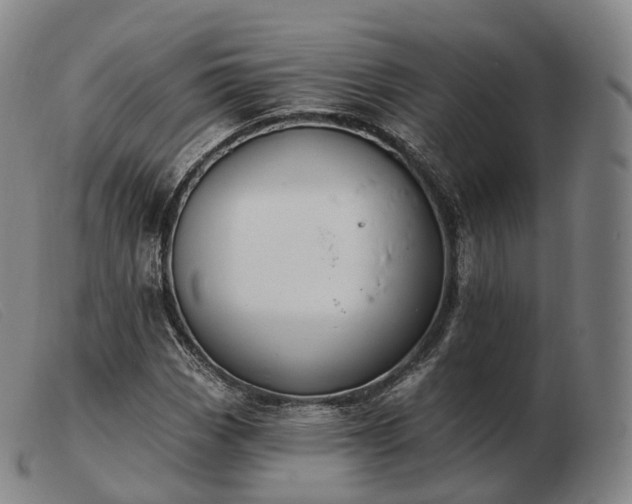 X0000103471113200809191829