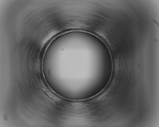 X0000103471114200809191829