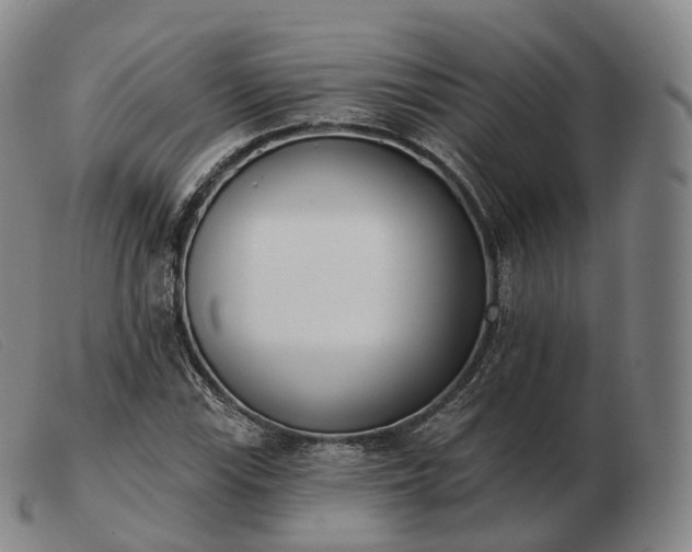 X0000103471115200809191829