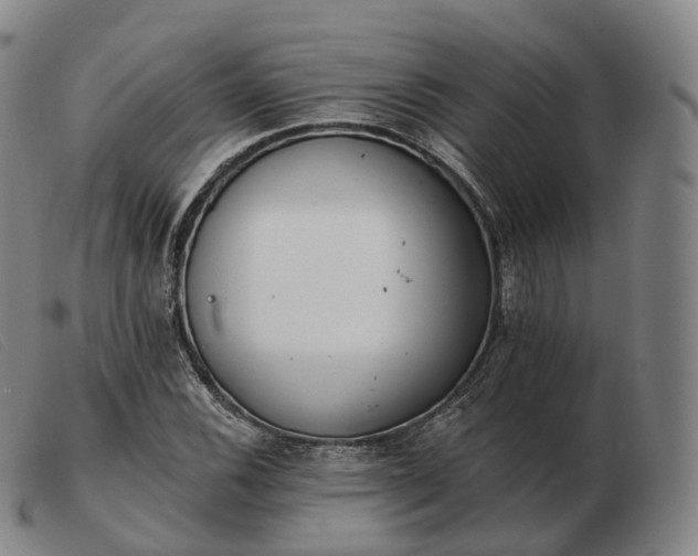 X0000103471116200809191829