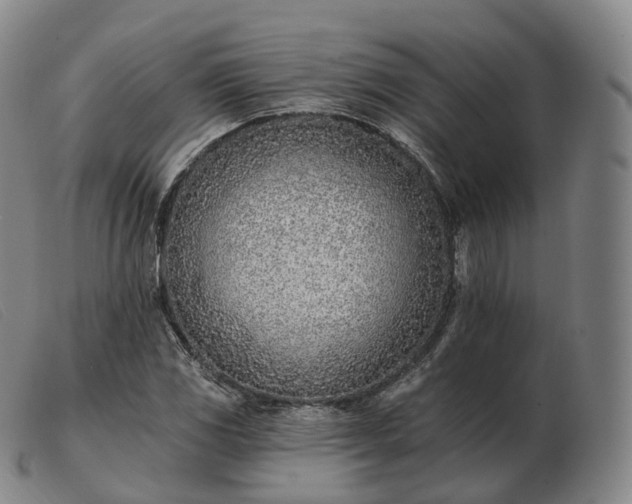 X0000103471117200809191829