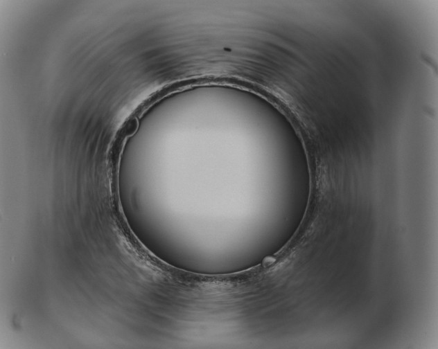 X0000103471118200809191829