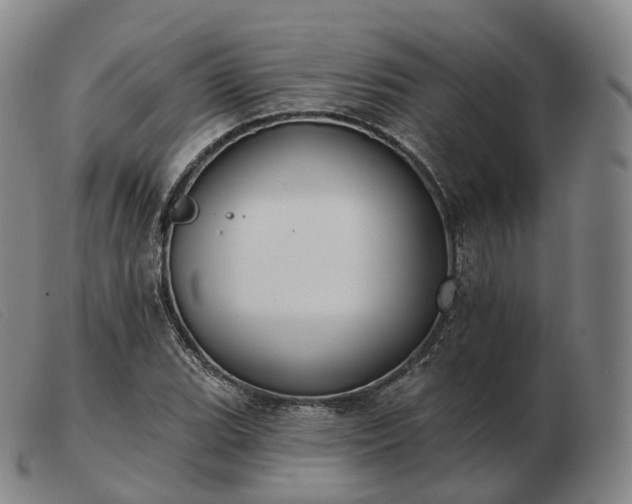 X0000103471119200809191829