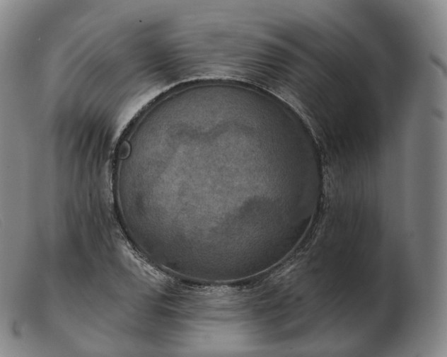 X0000103471120200809191829