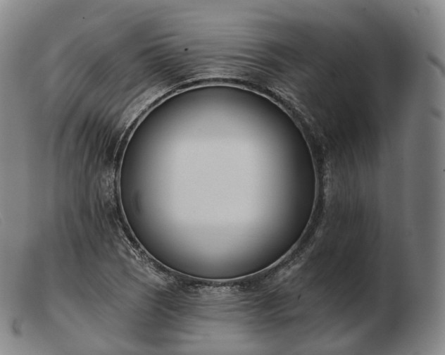 X0000103471121200809191829