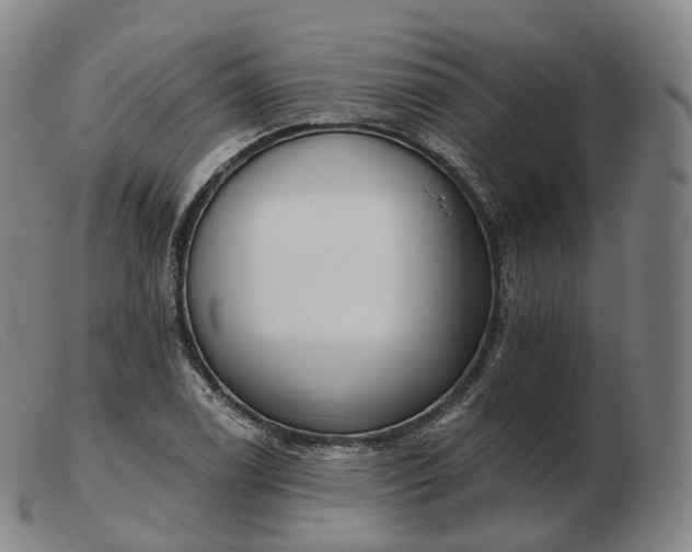 X0000103471122200809191829