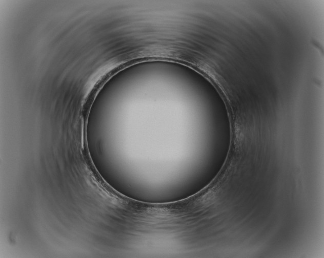 X0000103471123200809191829