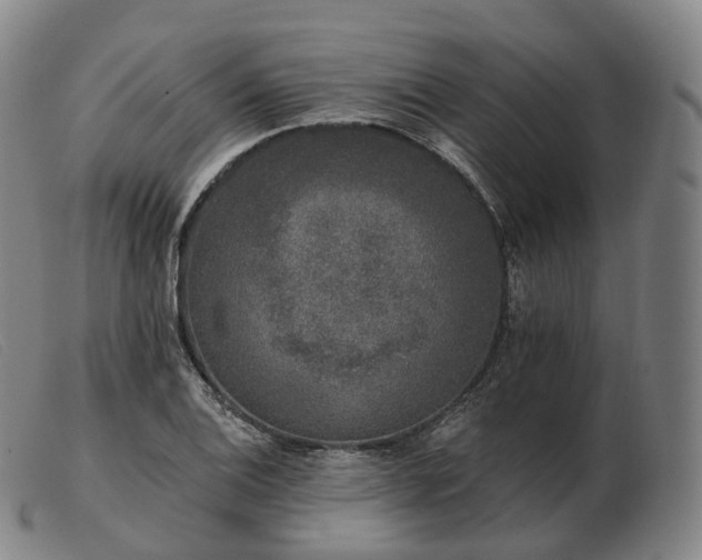 X0000103471124200809191829