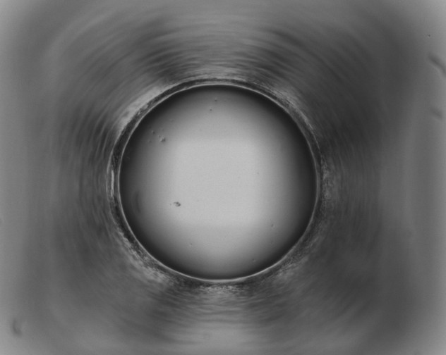 X0000103471125200809191829