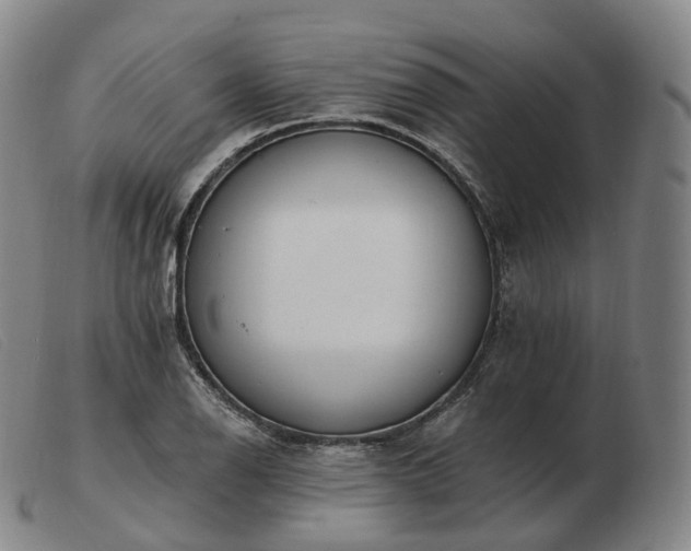 X0000103471126200809191829