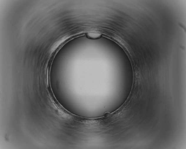 X0000103471127200809191829