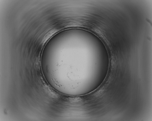 X0000103471129200809191829