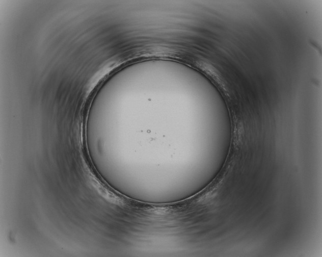 X0000103471130200809191829