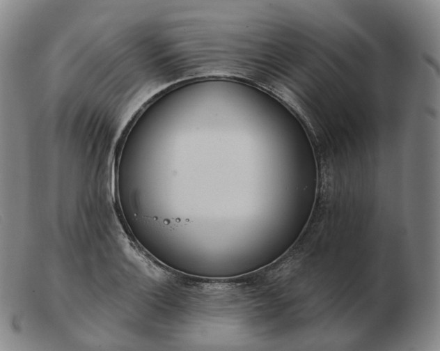 X0000103471132200809191829