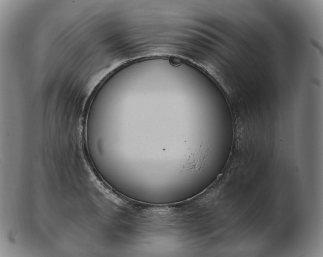 X0000103471134200809191829