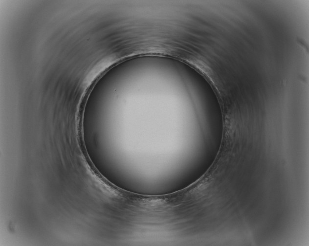 X0000103471135200809191829