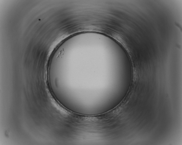 X0000103471136200809191829