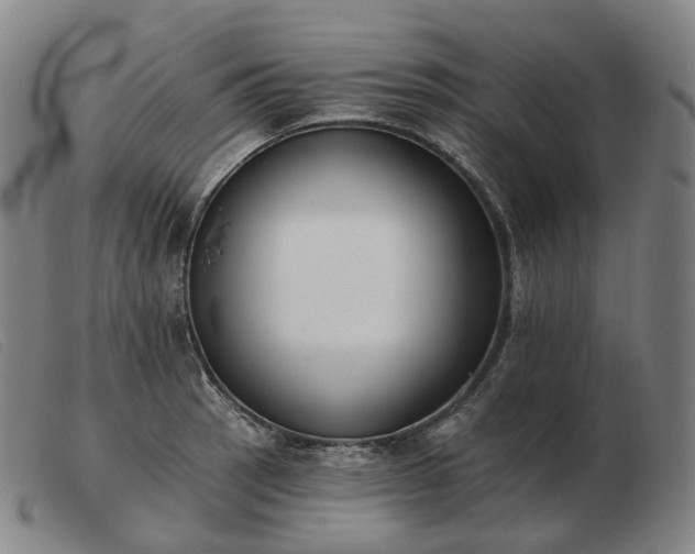 X0000103471137200809191829