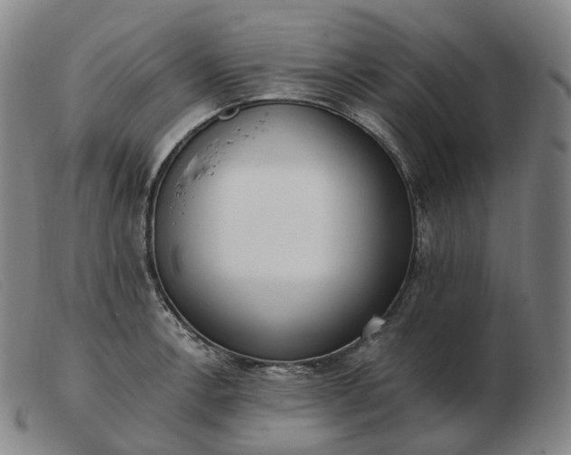 X0000103471138200809191829