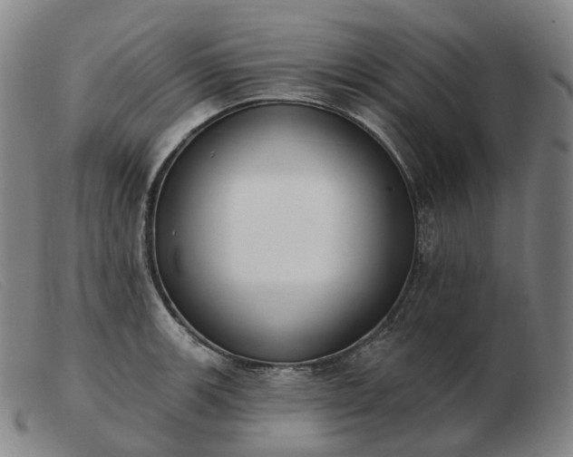 X0000103471139200809191829