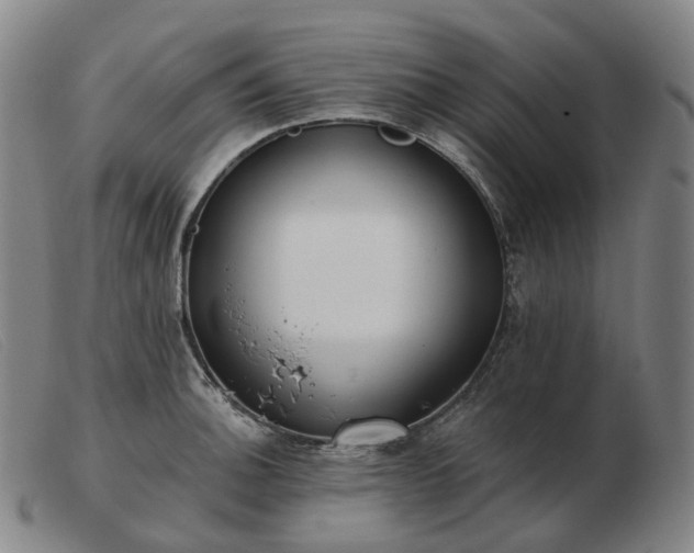 X0000103471140200809191829