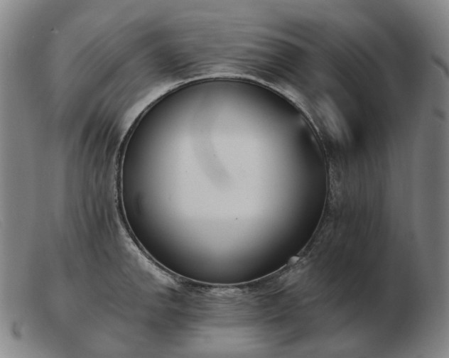 X0000103471142200809191829